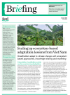 Scaling up ecosystem-based  adaptation: lessons from Viet Nam