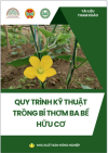 QUY TRÌNH KỸ THUẬT TRỒNG BÍ THƠM BA BỂ HỮU CƠ