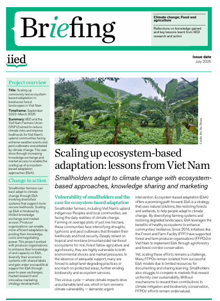 Scaling up ecosystem-based  adaptation: lessons from Viet Nam