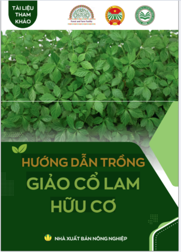 HƯỚNG DẪN TRỒNG GIẢO CỔ LAM HỮU CƠ