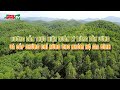 Hướng dẫn thực hiện quản lý rừng bền vững và cấp chứng chỉ rừng