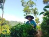 HOẠT ĐỘNG LẤY MẪU ĐẤT, NƯỚC, SẢN PHẨM NÔNG  NGHIỆP HỮU CƠ THEO TIÊU CHUẨN PGS VIỆT NAM TẠI  HUYỆN CHỢ MỚI VÀ HUYỆN BA BỂ, TỈNH BẮC CẠN