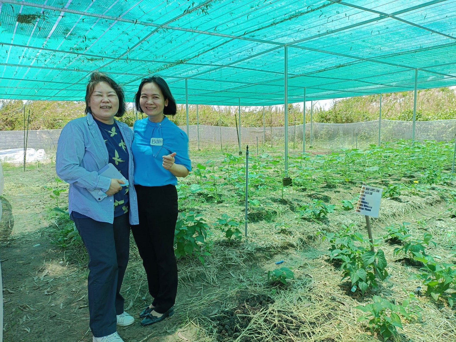 Bà Mayu Ino - Trưởng đại diện Tổ chức Seed To Table (trái) và bà Trần Thị Thanh Bình (phải) - T.S. NGUT. Giám đốc Trung tâm Nông nghiệp hữu cơ, Trường Đại học Lâm nghiệp tại mô hình vườn rau hữu cơ do Sinh viên và Thầy Cô Trường Cao đẳng Cộng Đồng Đồng Tháp trồng và chăm sóc