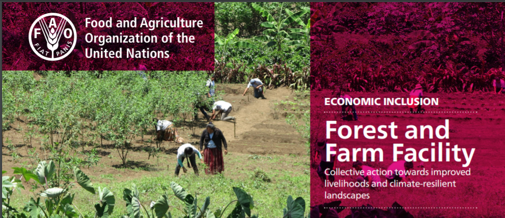 Tài liệu quảng bá về chương trình FFF của FAO