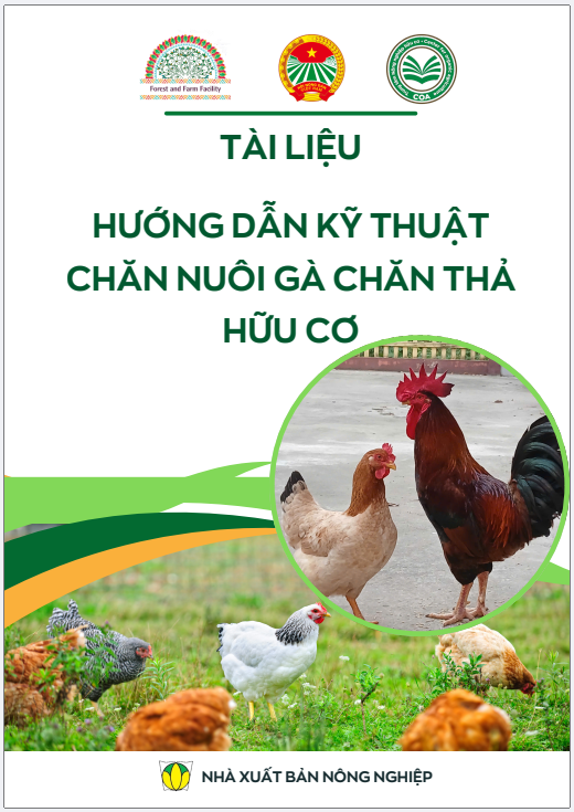 HƯỚNG DẪN KĨ THUẬT CHĂN NUÔI GÀ CHĂN THẢ HỮU CƠ