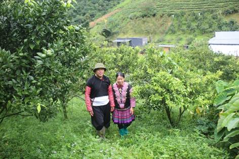 Hua Tạt phát triển nông nghiệp sinh thái gắn với bảo vệ rừng