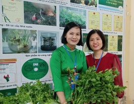 Sản phẩm rau hữu cơ sản xuất theo tiêu chuẩn PGS Việt Nam do Trung tâm Nông nghiệp hữu cơ, Viện quản lý đất đai và PTNT, Đại học Lâm Nghiệp tư vấn và giám sát chất lượng.